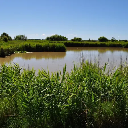 Haus Dorfschmiede, Whg Seehund