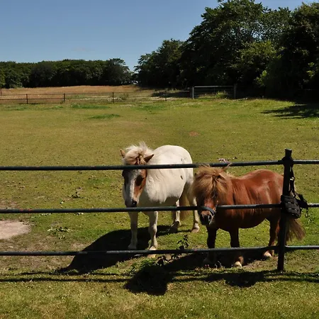 Haus Dorfschmiede, Whg Seehund